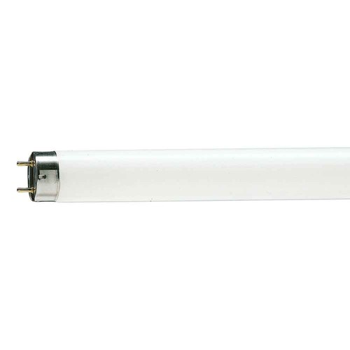 Leuchtstofflampe röhre - leuchtstofflampe,