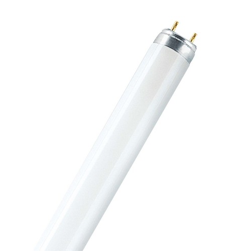10x osram leuchtstoffröhre - 10x,