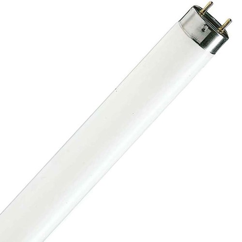 Leuchtstoffröhre g13 - t8,