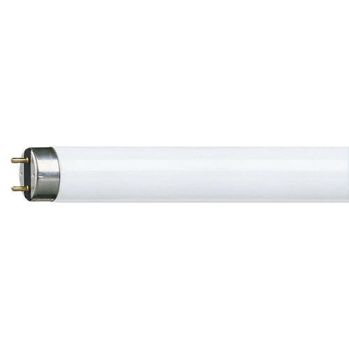 Philips master - philips,