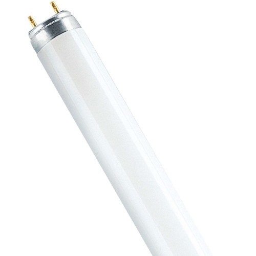 Osram lumilux - lumilux, t8
