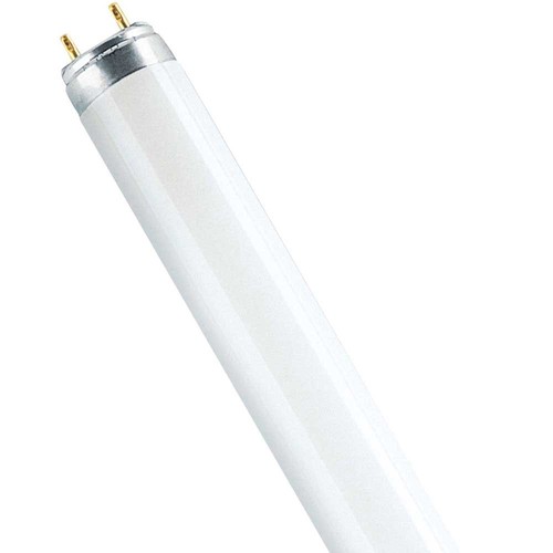 Osram leuchtstofflampe - osram, t8